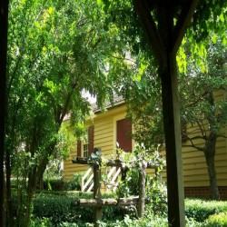 Exterior photo with grape arbor