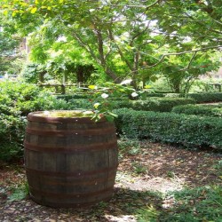 Exterior photo, rain barrel