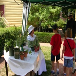 Exterior photo, herb sale