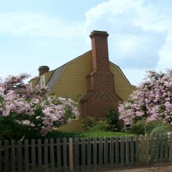 Exterior photo, crepe myrtles
