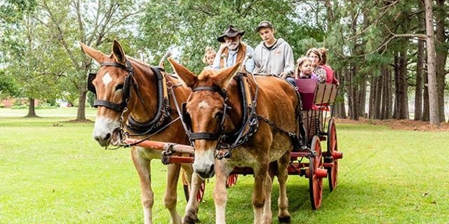 Wagon Ride at Bentonville